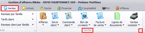 Familles de vente, logiciel de gestion par affaire Biloba, ERP Biloba
