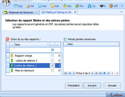 Publimailing ERP Biloba