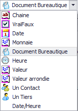 Champs utilisateurs logiciel de gestion par affaire Biloba 
