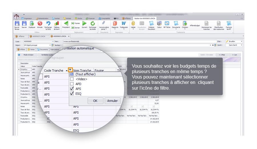 Capture d'écran Biloba : Sélection multiple des tranches dans les Budgets Temps