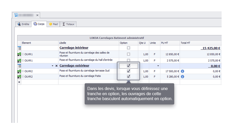 Capture d'écran Biloba : Devis : option sur une tranche avec des ouvrages