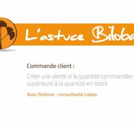 Astuce Biloba - Commande client : créer une alerte stocl